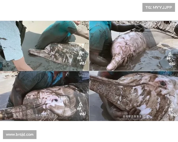 地铁惊魂极限恐惧之旅探秘体验让你无法喘息的黑暗深渊 地铁惊魂极限恐惧之旅探秘体验让你无法喘息的黑暗深渊
