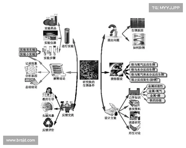 战术运用与心理博弈的成功策略探讨与实践经验总结 战术运用与心理博弈的成功策略探讨与实践经验总结