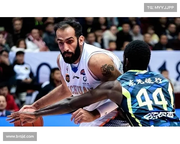 哈达迪坚守赛场的背后动力揭秘五大原因揭示他为何至今仍未退役