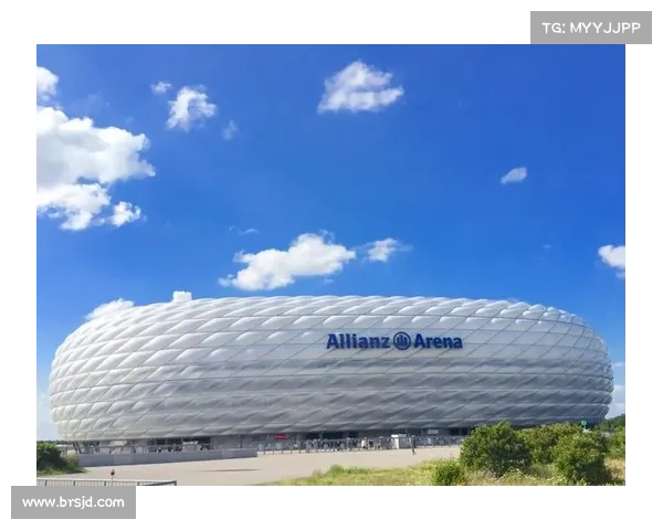 如何深入了解安联在全球体育赛事中的赞助商角色及影响力